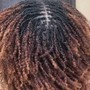 Sisterlocks or Microloc Touch Ups