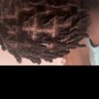 Loc Re-twist - Mid Back