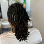 Havana/Passion Twists