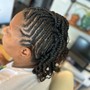 Havana/Passion Twists