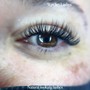 Classic Lash 2 week Fill