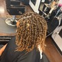 Crochet Braids/twist