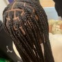 Knotless Box Braids