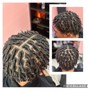 Starter Locs (2strand twist method)