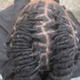 Loc Retwist