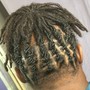 Comb Twist or 2 strands twist