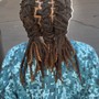 Started Locs (up to 65 locs)