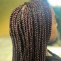 Designer Locs (Barrel Twist, 2 Strand Twist, Space Buns, Etc)