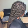 Small Senegalese Twist