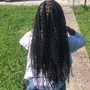 Senegalese Twist Smedium  Mid back