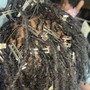 Root Touch Up