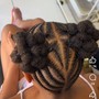 Root Touch Up