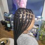 Butterfly French Braids