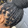 Braided Ponytail