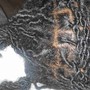 Starter Locs