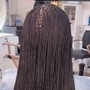 Micro Senegalese Twist (midback)