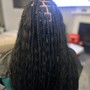 Feed in Braids(5)