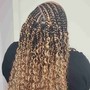 Havana Twists