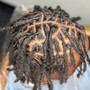 Loc Retwist