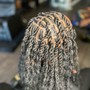 Crochet Faux Locs