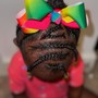 Kids Braids