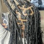 Medium Box Braids