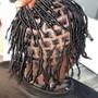 Starter locs