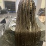 Olaplex Treatment