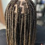 Feed in braids