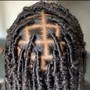 Starter Locs/ Loc retwist