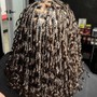 Island Twists