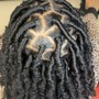 Dreadlocks Retwist (up to shoulder length)