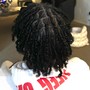 Two Feed-in Braids