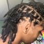 Adult retwist and style