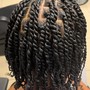 Starter Locs Maintenance