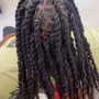 Adult Retwist