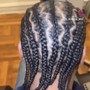 SMALL Box Braids