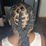 Individual Braids (natural hair)