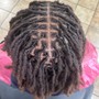 Starter Locs