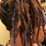 Root Touch Up