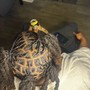 Men braids