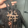 Starter Locs