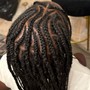 Starter Locs