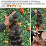 Bantu Knot ponytail