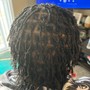 Starter Locs