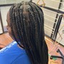 Medium Box Braids