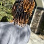 Starter Locs SPECIAL (High Top)