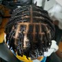 Loc retwist