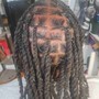 Loc retwist