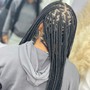 Medium knotless Braids